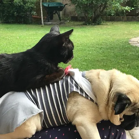 Apartment Rose Garden