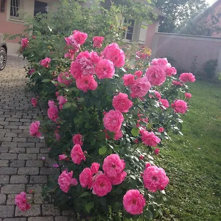 Rose Garden Apartment Giverny