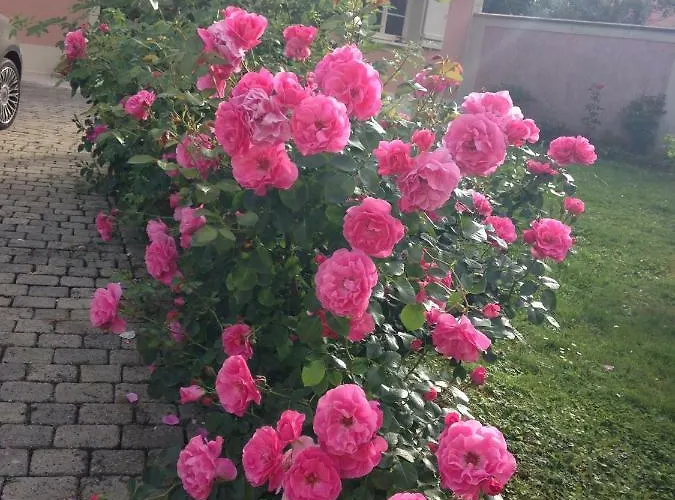 Rose Garden Appartement Giverny