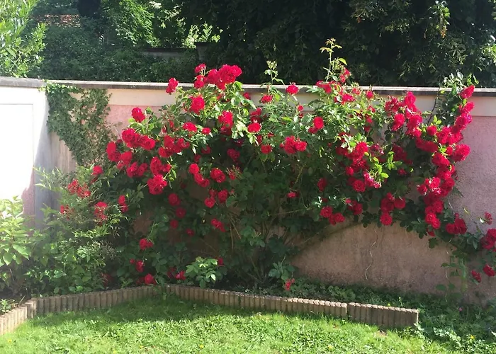 Appartement Rose Garden *