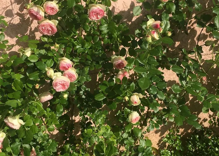 Rose Garden Appartement Giverny